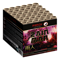Rain Man